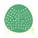 Image for USCREENG