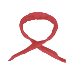Image for NECKR