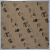 Image for GI19