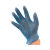 Image for PPGLVMBPF