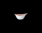 Image for S12100525