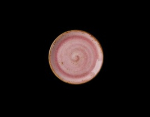 Image for S12100568