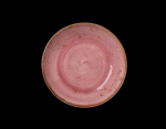 Image for S12100570