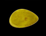Image for S12110501