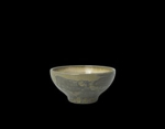Image for S17790539