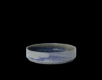 Image for S17820561