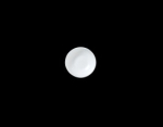 Image for S82000AND0238