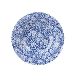 Image for CCAPVRSB1