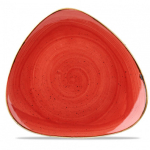 Image for CSBRSTR121