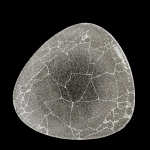 Image for CKRBKTR9 1