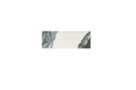 Image for CTDBKOF231