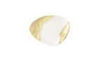 Image for CTDGDTC261