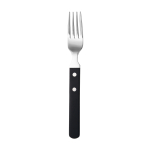 Image for EVTTF