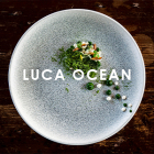 Image for Luca Ocean