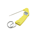 Image for THERM-FLDY